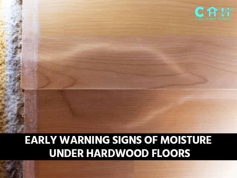 Early Warning Signs of Moisture Under Hardwood Floors